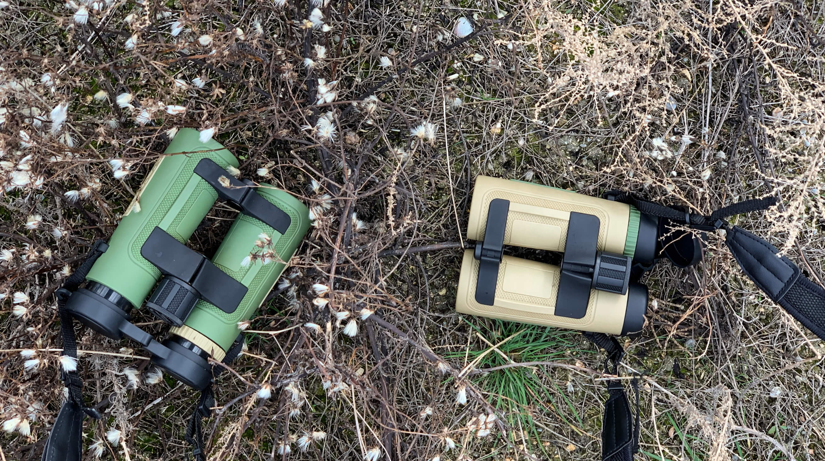 Как выбрать бинокль для бёрдвотчинга